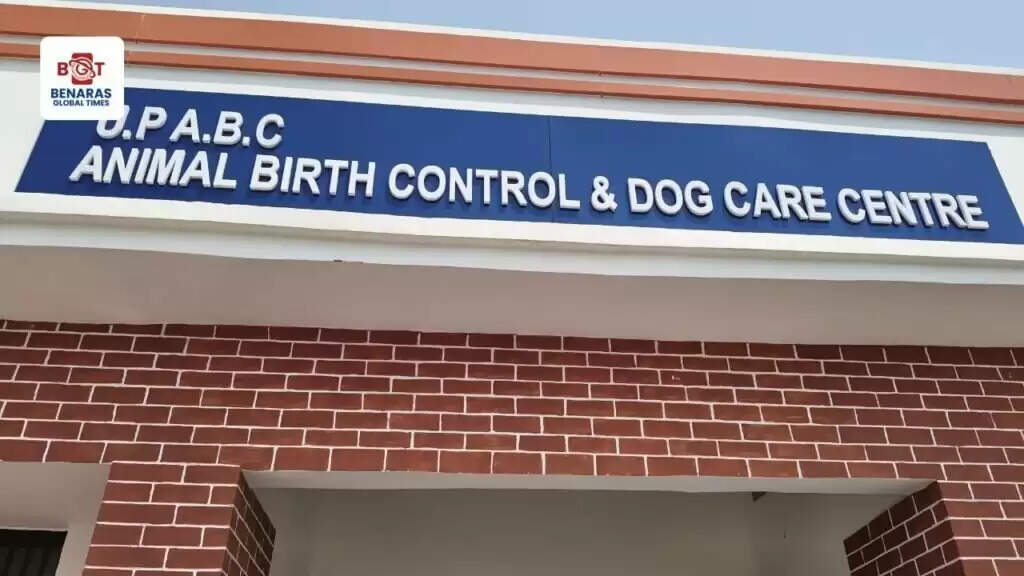 ABC Center: नगर निगम अब खुद कराएगा कुत्तों का बंध्याकरण, लालपुर-ऐढ़े में तैयार हुआ अत्याधुनिक ABC सेंटर
