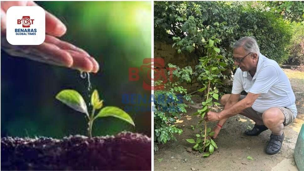 संकल्प संस्था ने World Environment Day पर किया पौधारोपण, दिया हरित भविष्य का संदेश