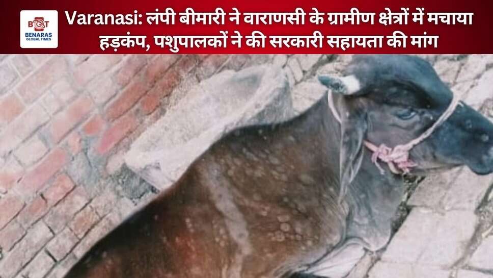 Varanasi: लंपी बीमारी ने वाराणसी के ग्रामीण क्षेत्रों में मचाया हड़कंप, पशुपालकों ने की सरकारी सहायता की मांग
