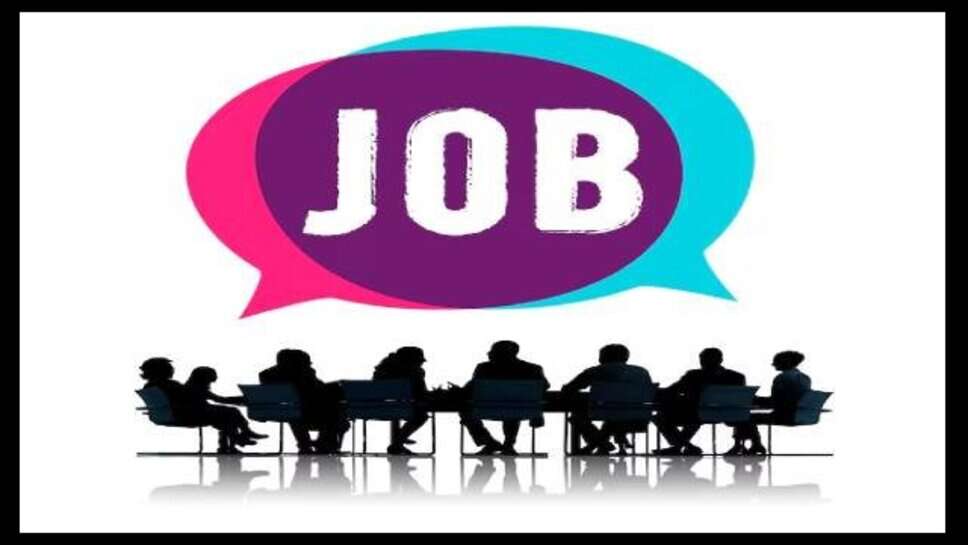 IBPS PO Recruitment 2025 : देशभर के सरकारी बैंकों में अफसर बनने का सुनहरा मौका, आवेदन शुरू