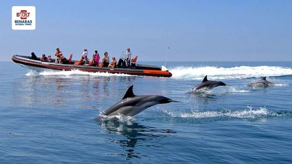 Dolphin Safari: वाराणसी में डॉल्फिन सफारी की शुरुआत, पर्यटक नाव से ले सकेंगे आनन्द