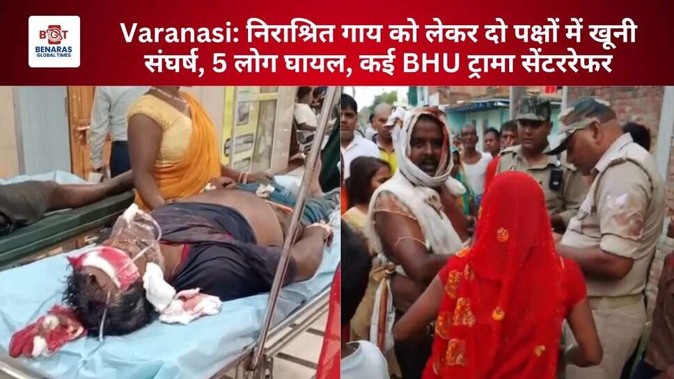 Varanasi: निराश्रित गाय को लेकर दो पक्षों में खूनी संघर्ष, 5 लोग घायल, कई BHU ट्रामा सेंटररेफर