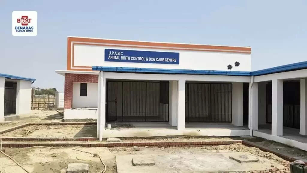 ABC Center: नगर निगम अब खुद कराएगा कुत्तों का बंध्याकरण, लालपुर-ऐढ़े में तैयार हुआ अत्याधुनिक ABC सेंटर