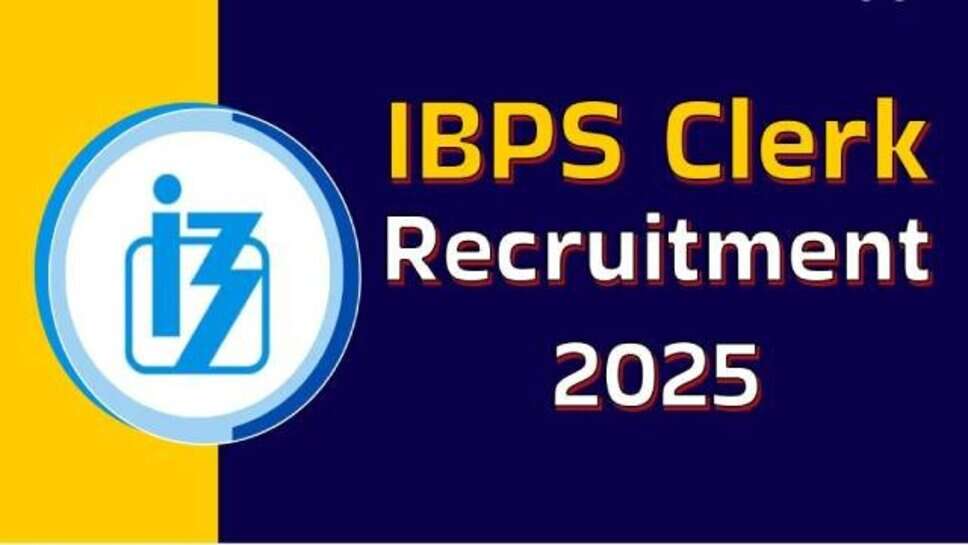 IBPS Clerk Recruitment 2025 : सरकारी बैंक में नौकरी का बड़ा मौका, आवेदन शुरू, जानें योग्यता, प्रक्रिया और सैलरी