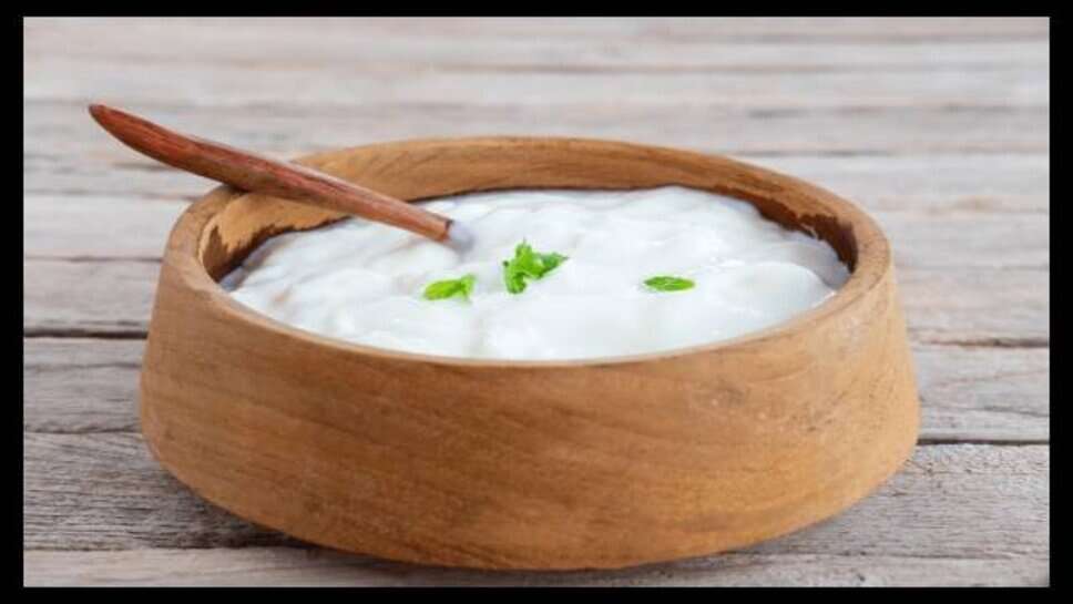 Curd : गर्मियों में दही के साथ इन चीजों को खाने से बचें, वरना हेल्थ के लिए हो सकता है नुकसानदायक