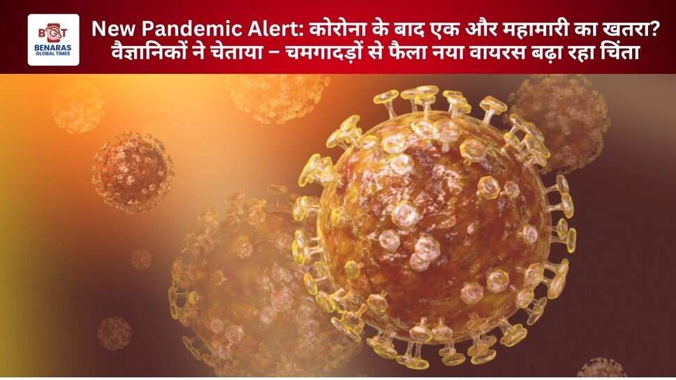 New Pandemic Alert: कोरोना के बाद एक और महामारी का खतरा? वैज्ञानिकों ने चेताया – चमगादड़ों से फैला नया वायरस बढ़ा रहा चिंता
