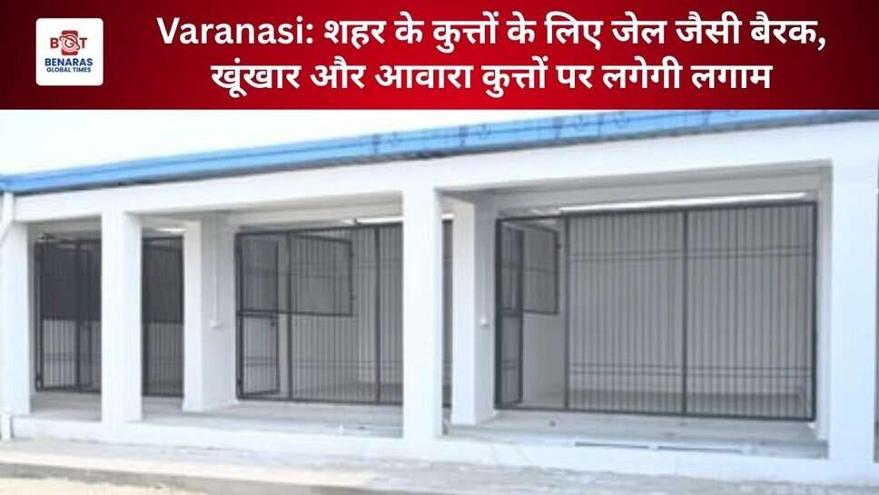 Varanasi: शहर के कुत्तों के लिए जेल जैसी बैरक, खूंखार और आवारा कुत्तों पर लगेगी लगाम