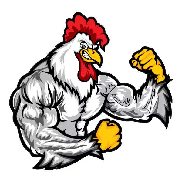 रामपुर में Bird Flu की पुष्टि के बाद वाराणसी प्रशासन अलर्ट, सभी पोल्ट्री फार्मों की निगरानी तेज