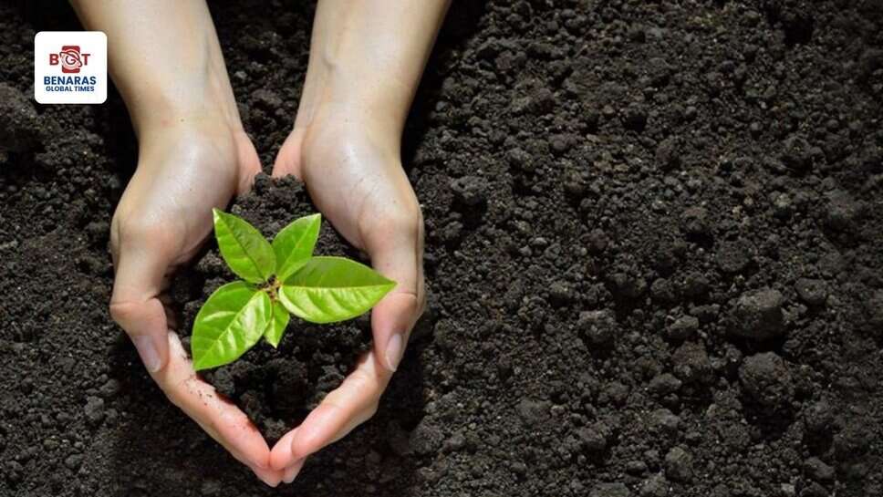 Forest Department: वन विभाग की पहल, स्कूलों में विद्यार्थियों को मिलेगी पौधरोपण की ट्रेनिंग