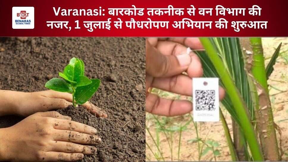 Varanasi: बारकोड तकनीक से वन विभाग की नजर, 1 जुलाई से पौधरोपण अभियान की शुरुआत