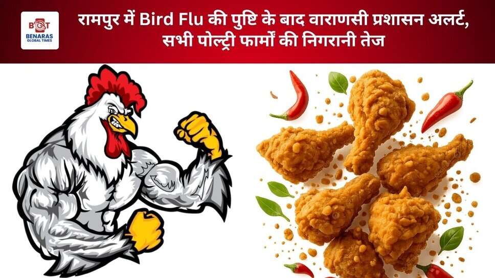 रामपुर में Bird Flu की पुष्टि के बाद वाराणसी प्रशासन अलर्ट, सभी पोल्ट्री फार्मों की निगरानी तेज