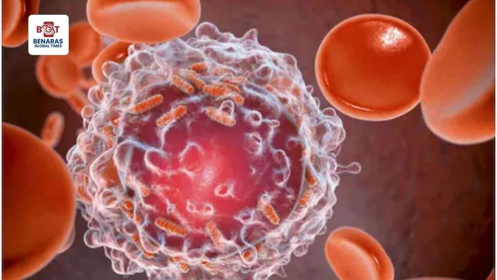 IIT मद्रास ने पेश किया भारत का पहला कैंसर जीनोम डाटाबेस, शुरुआती लक्षणों की पहचान में करेगा मदद