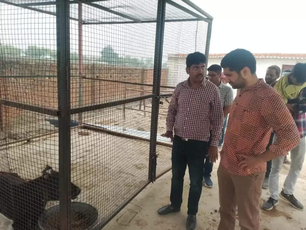 CDO Varanasi : आयर गौशाला का सीडीओ ने किया औचक निरीक्षण, लापरवाही पर दी सख्त चेतावनी