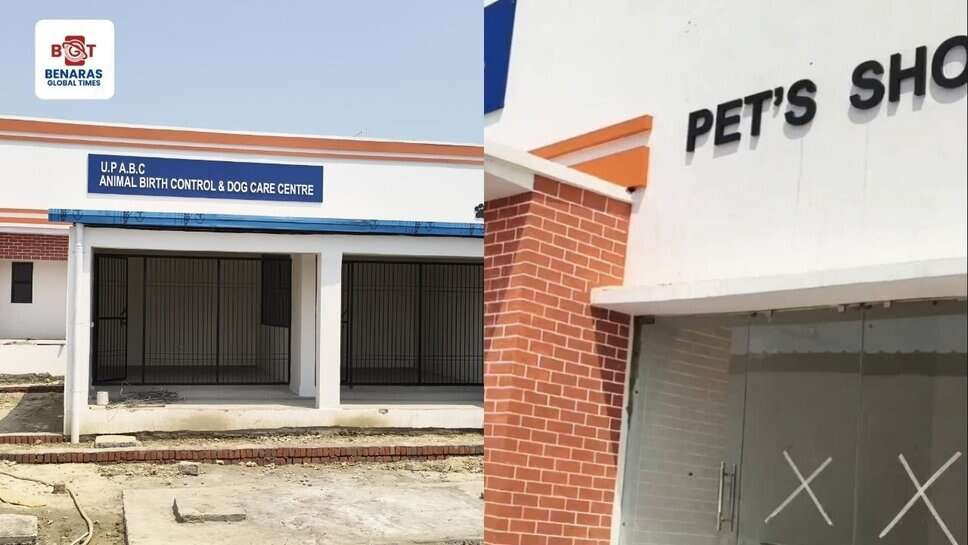 ABC Center: नगर निगम अब खुद कराएगा कुत्तों का बंध्याकरण, लालपुर-ऐढ़े में तैयार हुआ अत्याधुनिक ABC सेंटर