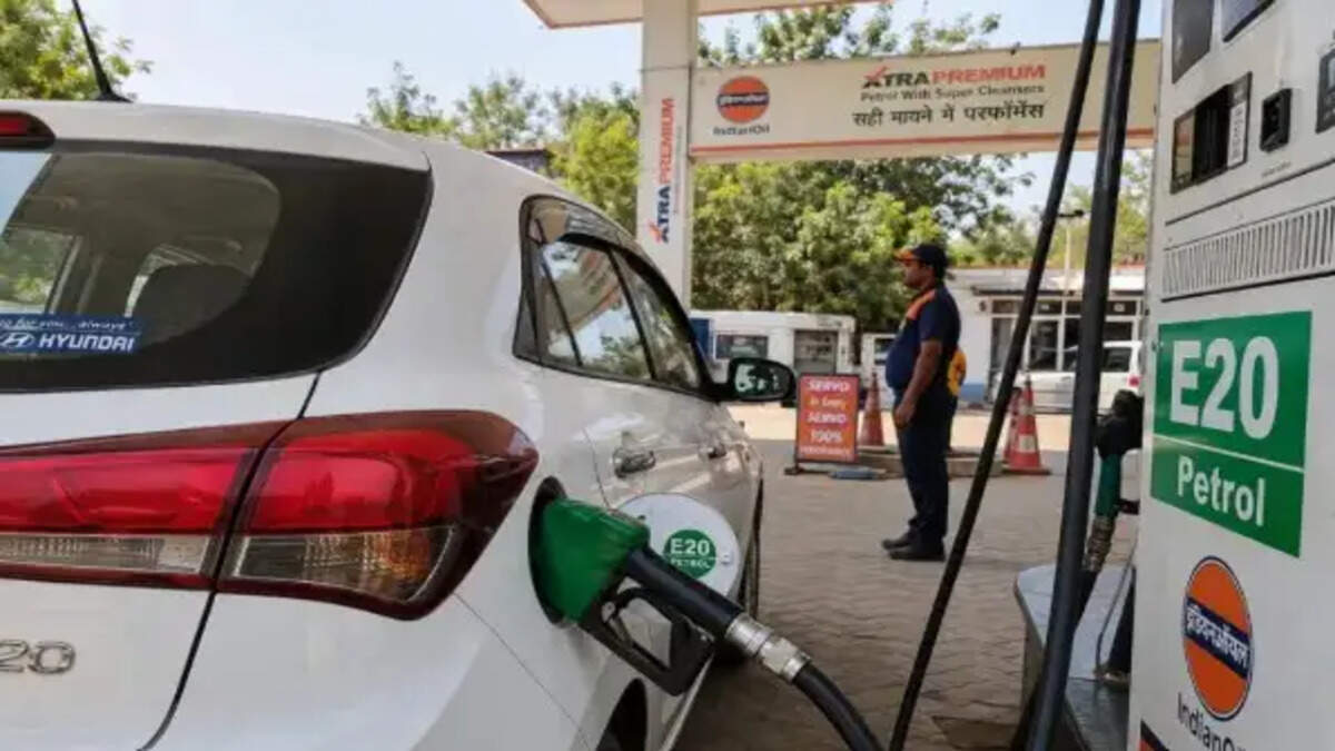 E20 पेट्रोल