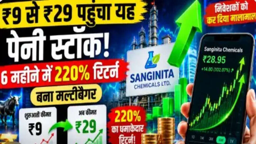 Sanginita Chemicals