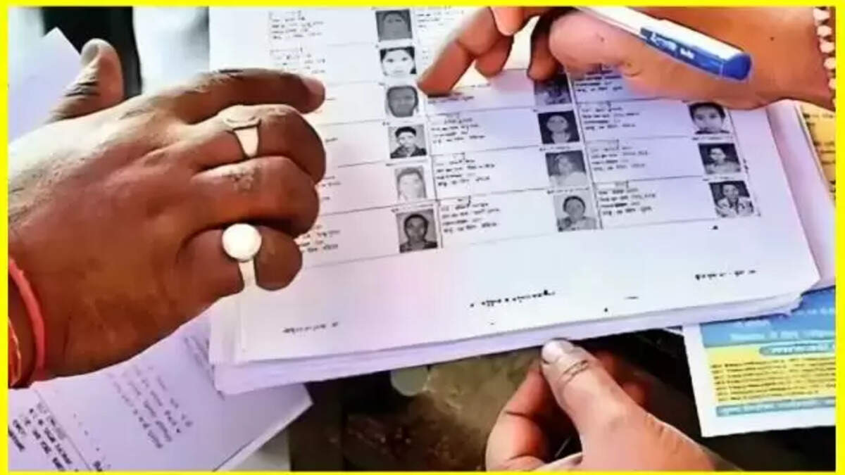 voter id