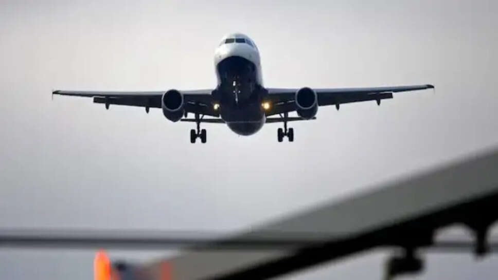 Air India International Flight Cuts