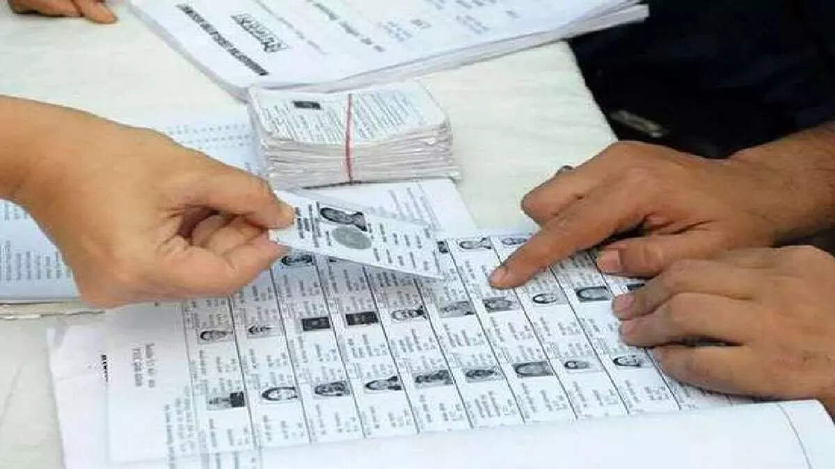 Voter 