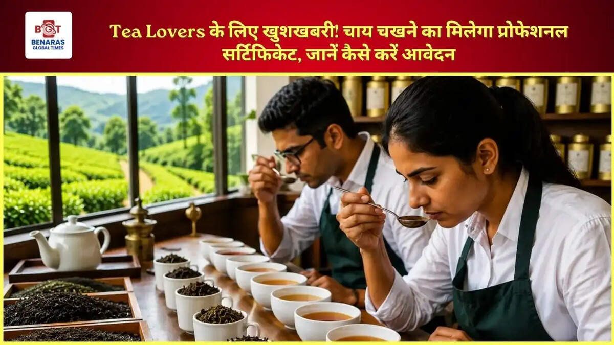 Tea Lovers के लिए खुशखबरी! चाय चखने का मिलेगा प्रोफेशनल सर्टिफिकेट, जानें कैसे करें आवेदन