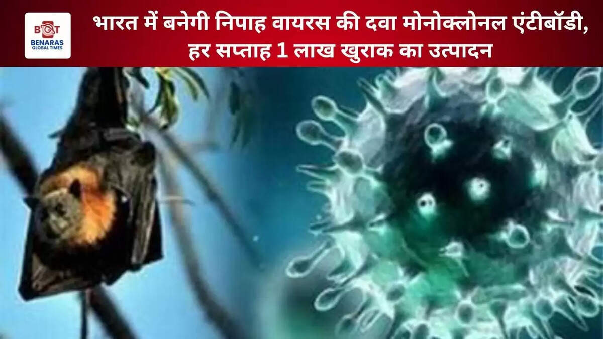 Nipah Virus