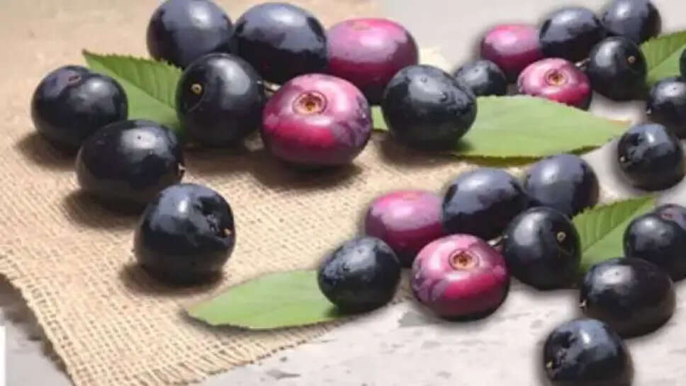 Black plum