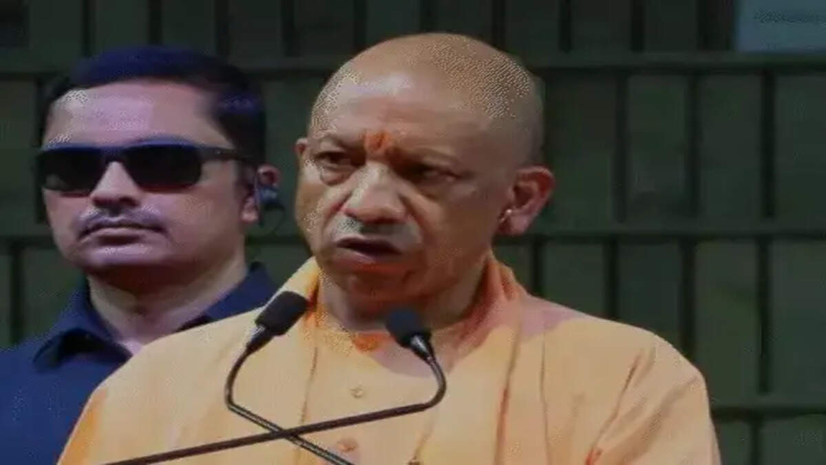 Yogi