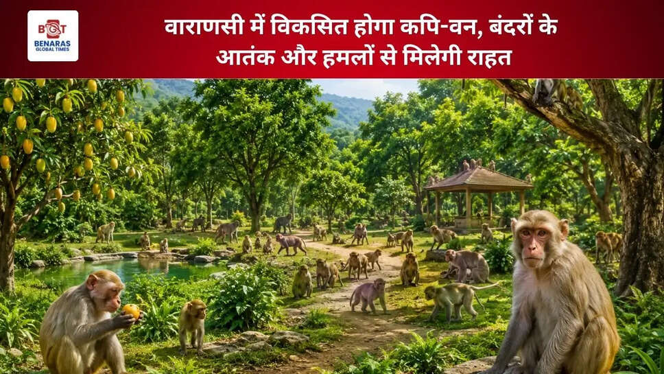  वाराणसी में विकसित होगा कपि-वन, बंदरों के आतंक और हमलों से मिलेगी राहत