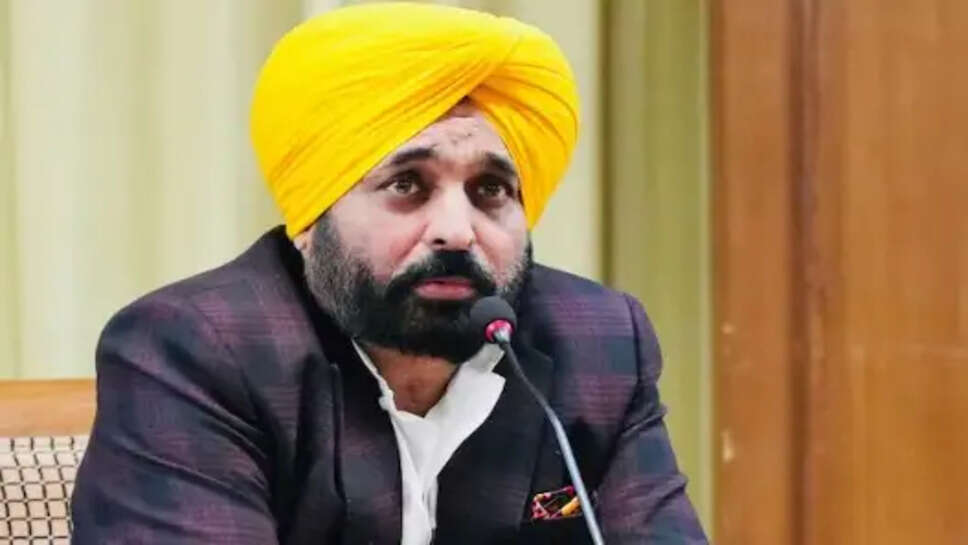 पंजाब में हाई अलर्ट