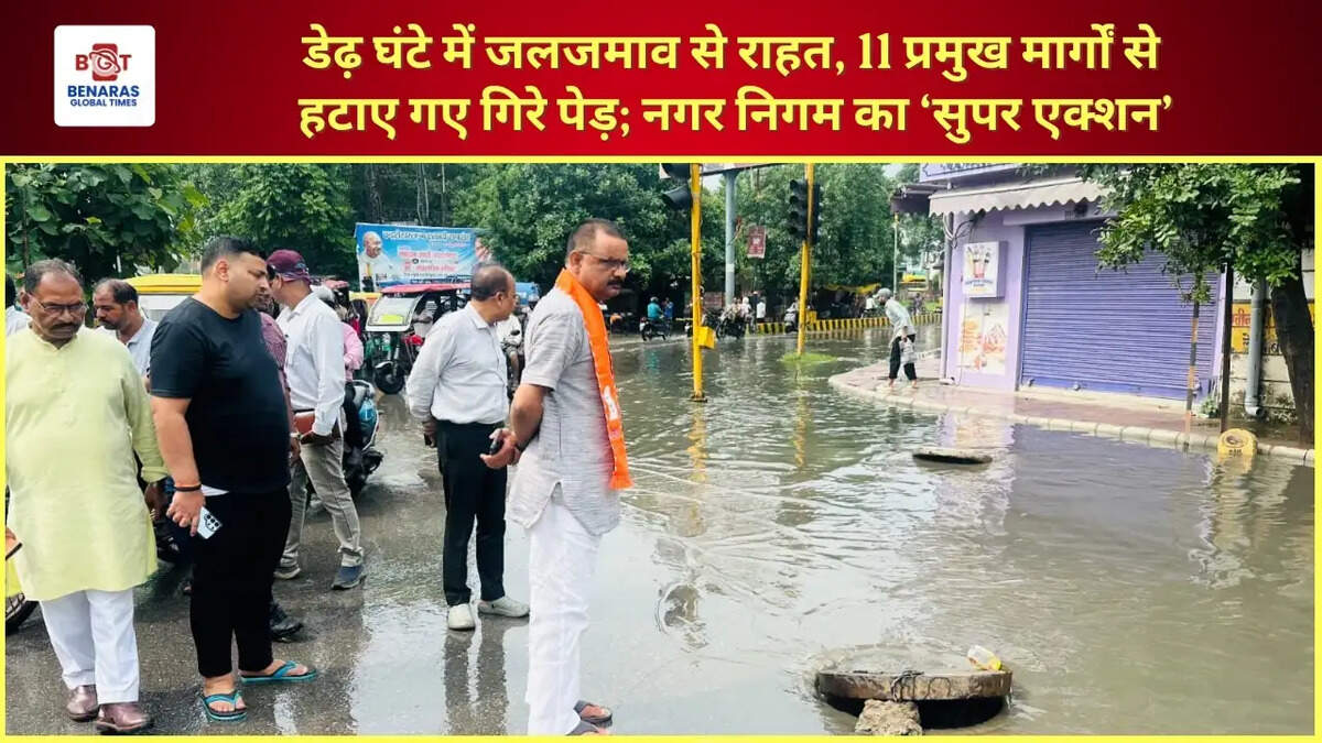  डेढ़ घंटे में जलजमाव से राहत, 11 प्रमुख मार्गों से हटाए गए गिरे पेड़; नगर निगम का &lsquo;सुपर एक्शन&rsquo;