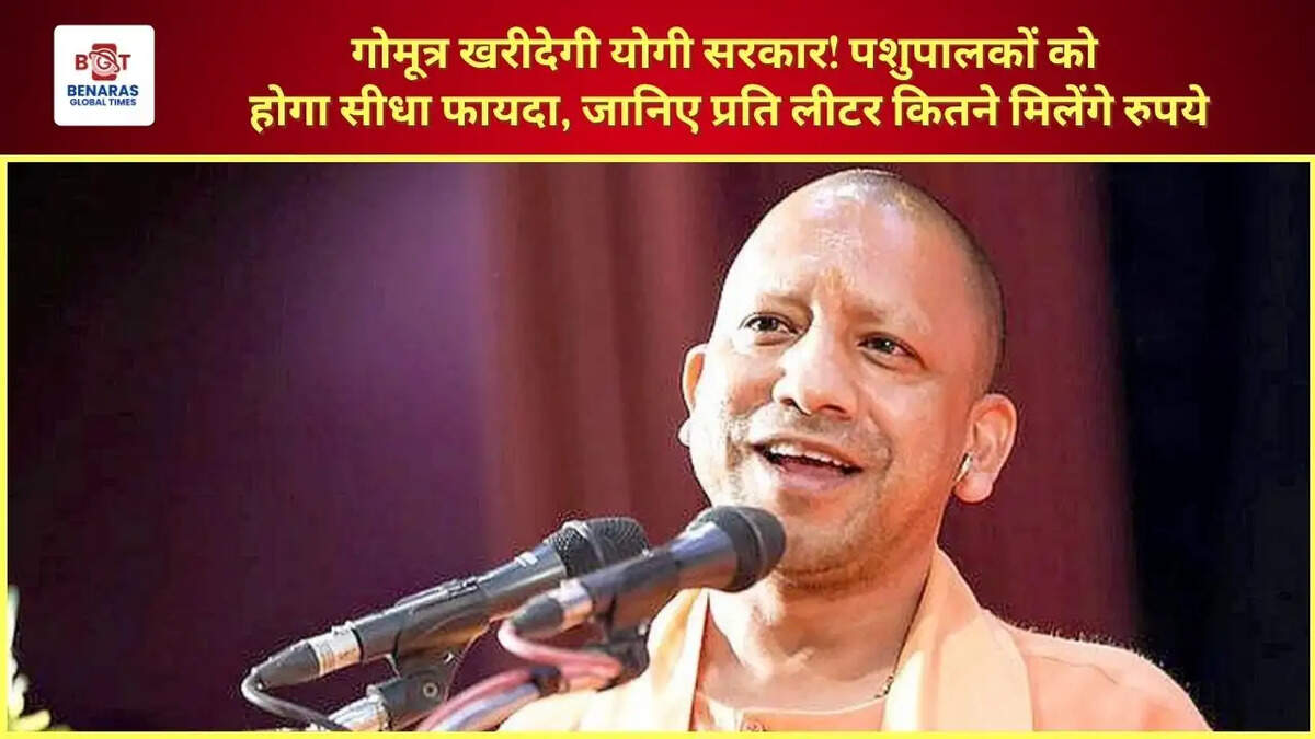  गोमूत्र खरीदेगी योगी सरकार! पशुपालकों को होगा सीधा फायदा, जानिए प्रति लीटर कितने मिलेंगे रुपये