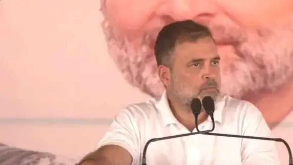 राहुल गांधी बयान