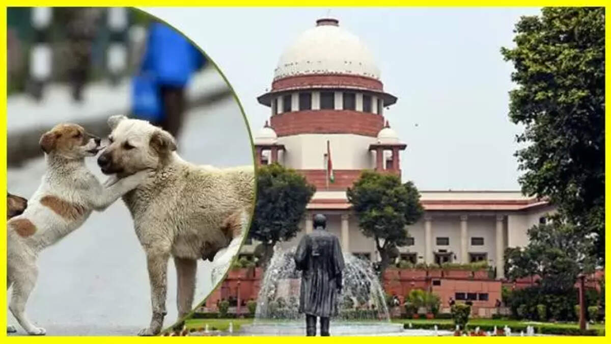 Supreme Court 