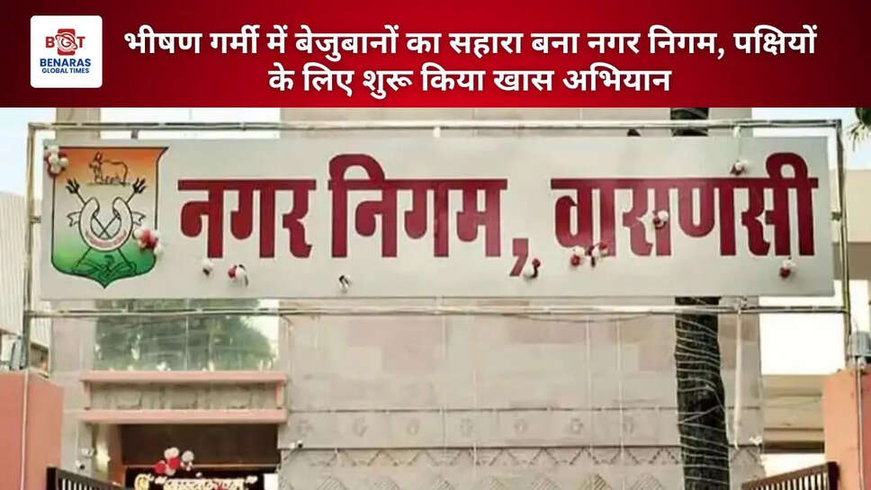 भीषण गर्मी में बेजुबानों का सहारा बना नगर निगम, पक्षियों के लिए शुरू किया खास अभियान
