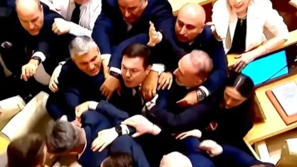 Georgia Parliament Fight