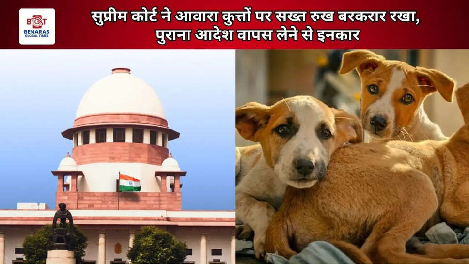  सुप्रीम कोर्ट ने आवारा कुत्तों पर सख्त रुख बरकरार रखा, पुराना आदेश वापस लेने से इनकार