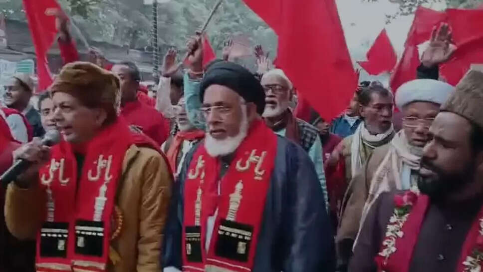 मौला अली जुलूस