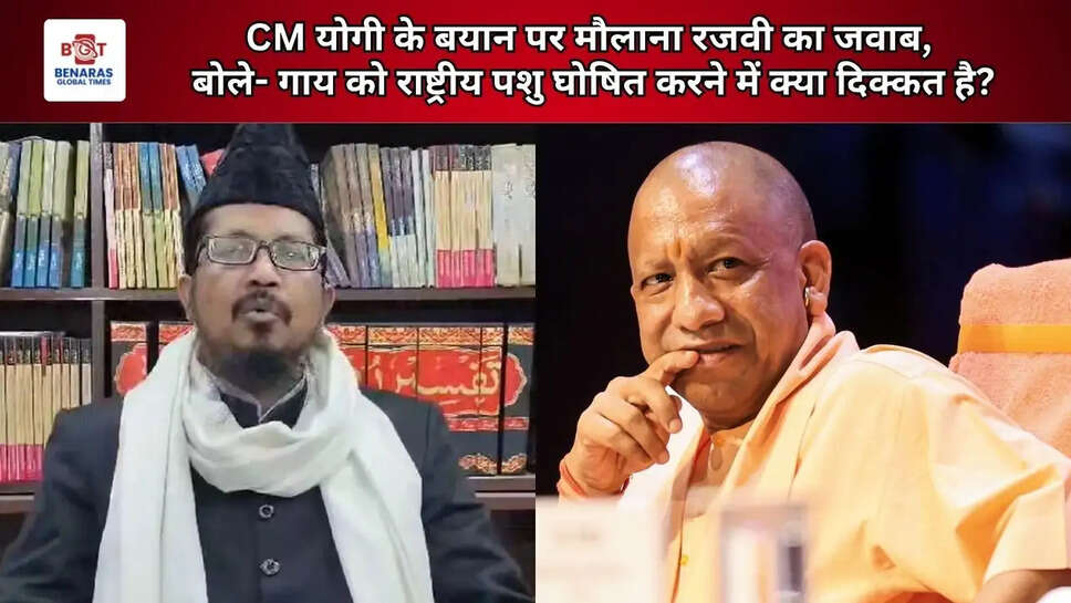 CM योगी के बयान पर मौलाना रजवी का जवाब, बोले- गाय को राष्ट्रीय पशु घोषित करने में क्या दिक्कत है?