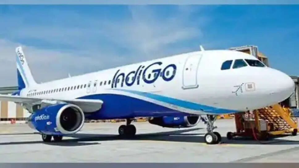 INDIGO