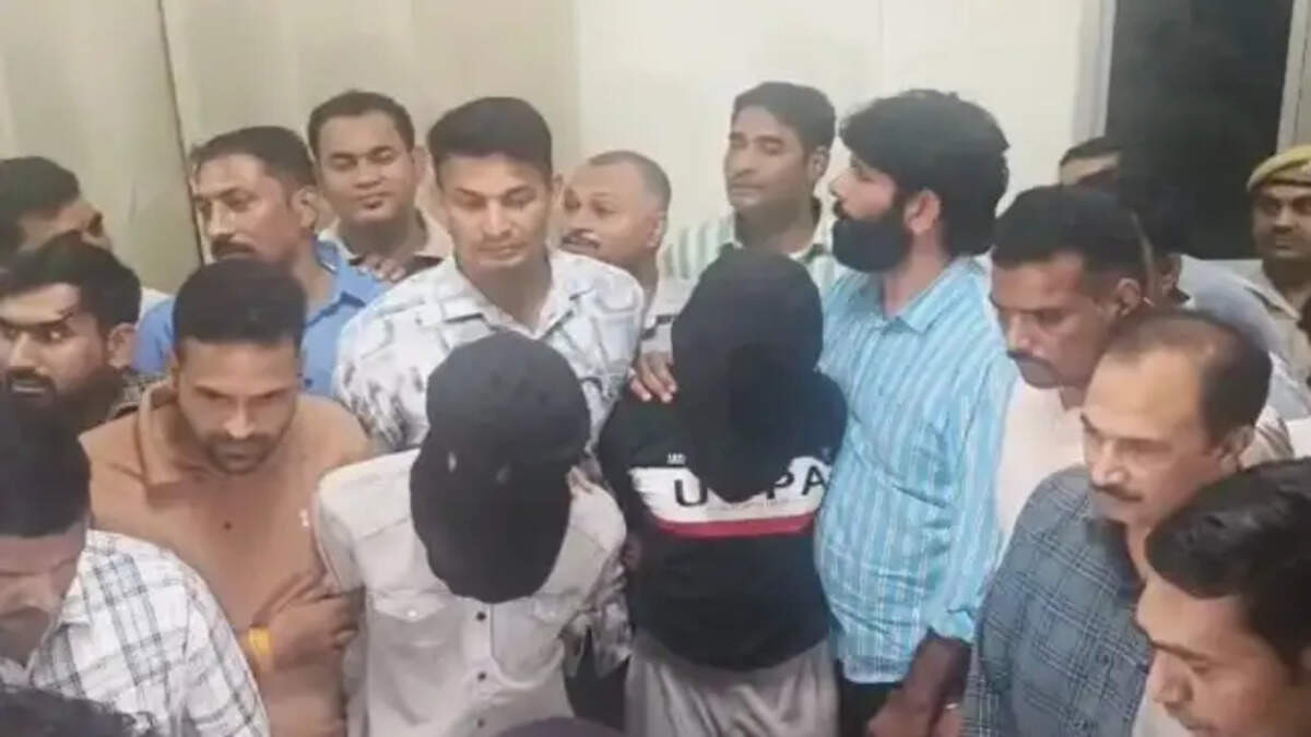 टाइगर 