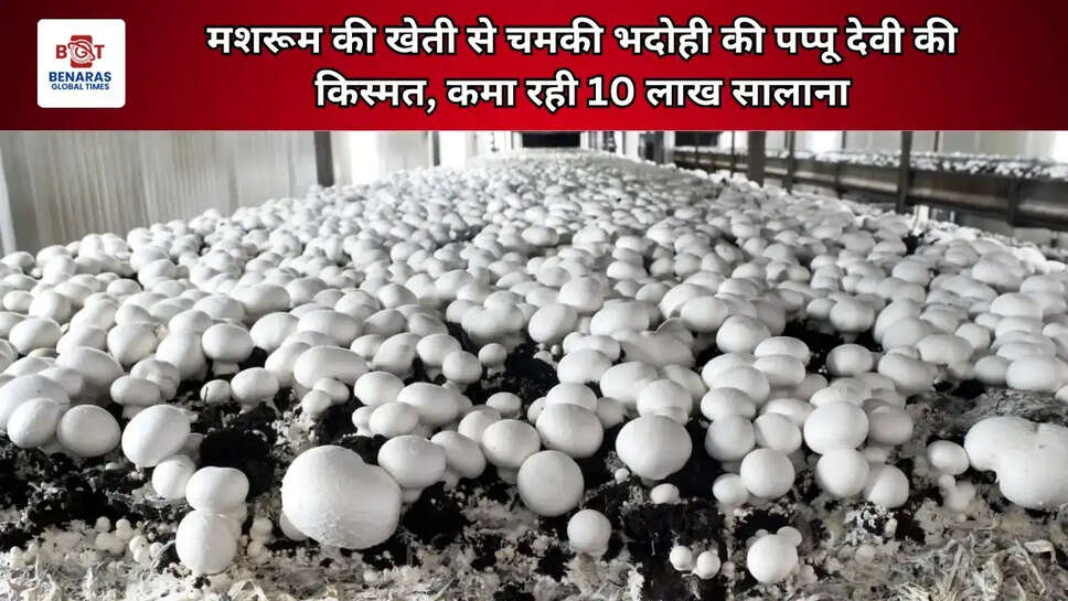 मशरूम की खेती से चमकी भदोही की पप्पू देवी की किस्मत, कमा रही 10 लाख सालाना