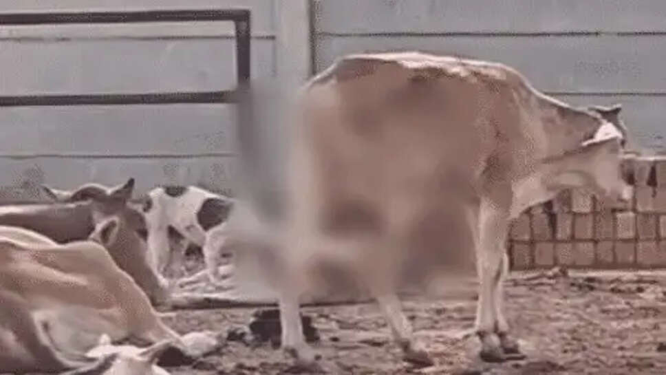 ऐढ़े गांव