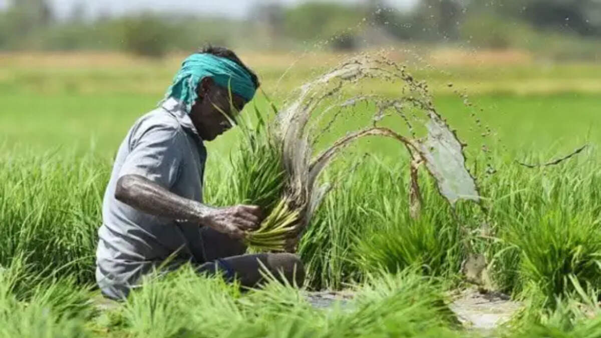 बीमा योजना लागू