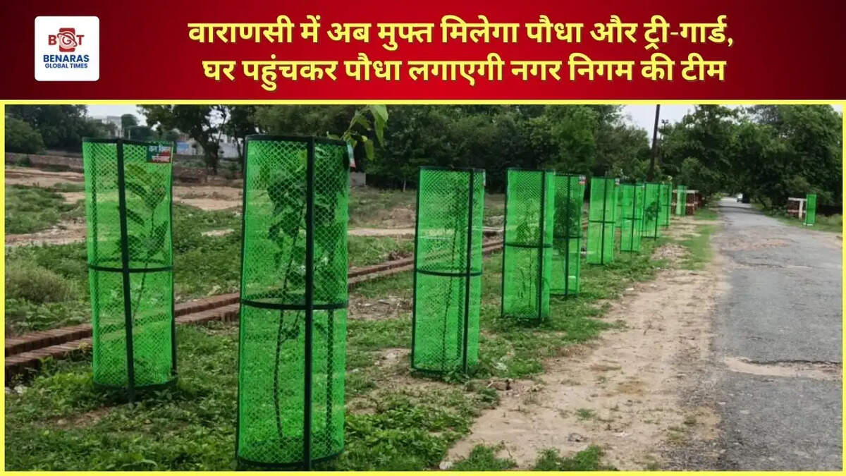  वाराणसी में अब मुफ्त मिलेगा पौधा और ट्री-गार्ड, घर पहुंचकर पौधा लगाएगी नगर निगम की टीम