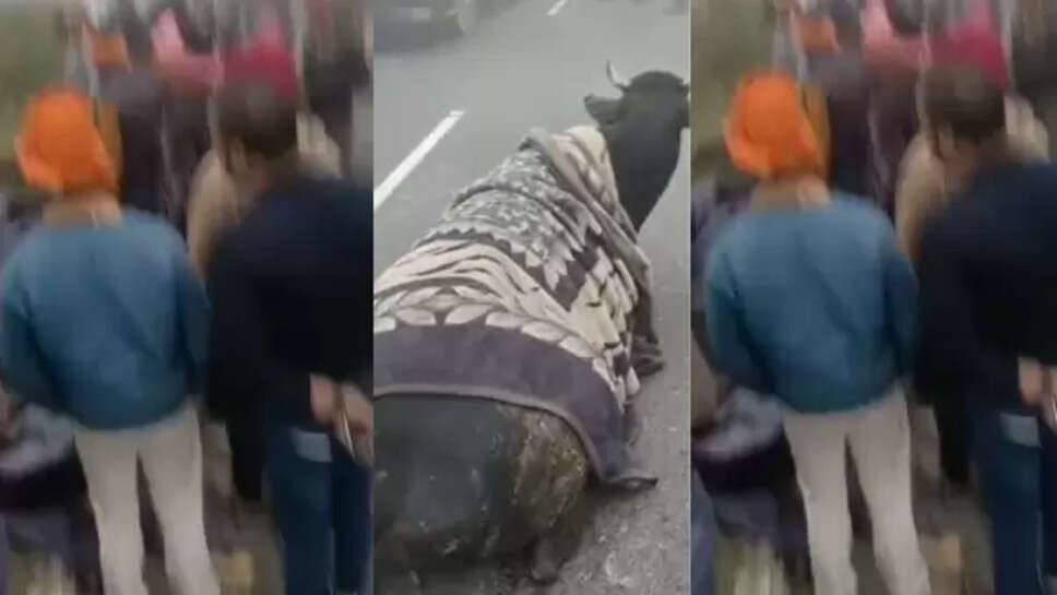 रिंग रोड फेज-3