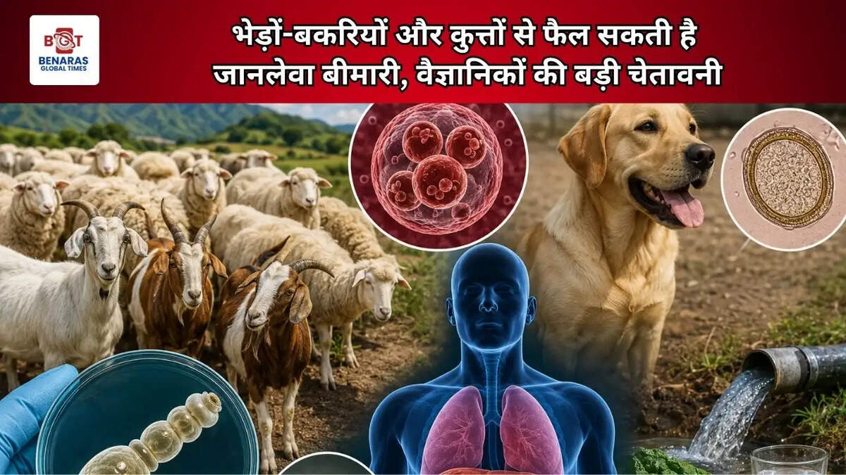  भेड़ों-बकरियों और कुत्तों से फैल सकती है जानलेवा बीमारी, वैज्ञानिकों की बड़ी चेतावनी