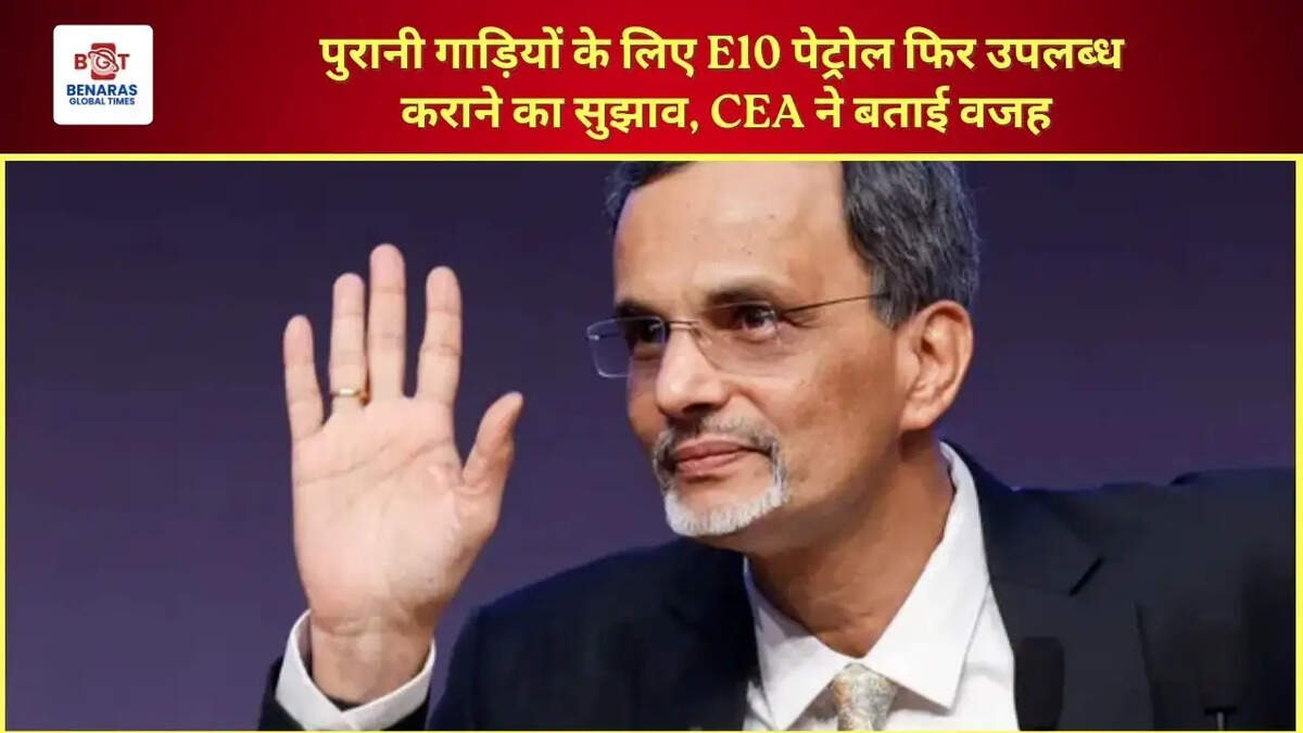  पुरानी गाड़ियों के लिए E10 पेट्रोल फिर उपलब्ध कराने का सुझाव, CEA ने बताई वजह