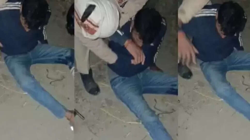 गो-तस्करी