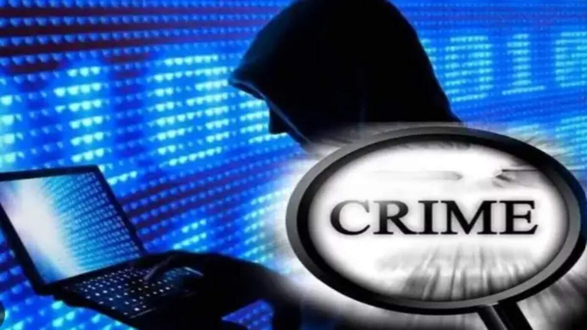 Cyber Fraud