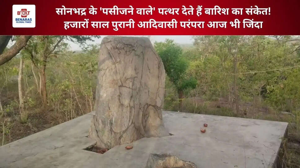  सोनभद्र के 'पसीजने वाले' पत्थर देते हैं बारिश का संकेत! हजारों साल पुरानी आदिवासी परंपरा आज भी जिंदा